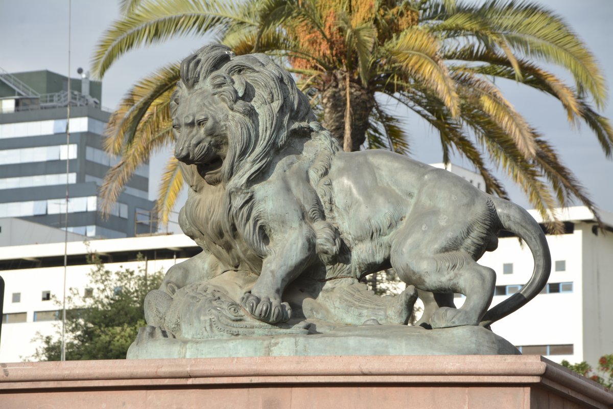 Emblemáticas esculturas de leones regresan a Providencia tras completo  proceso de restauración - Portal Metropolitano