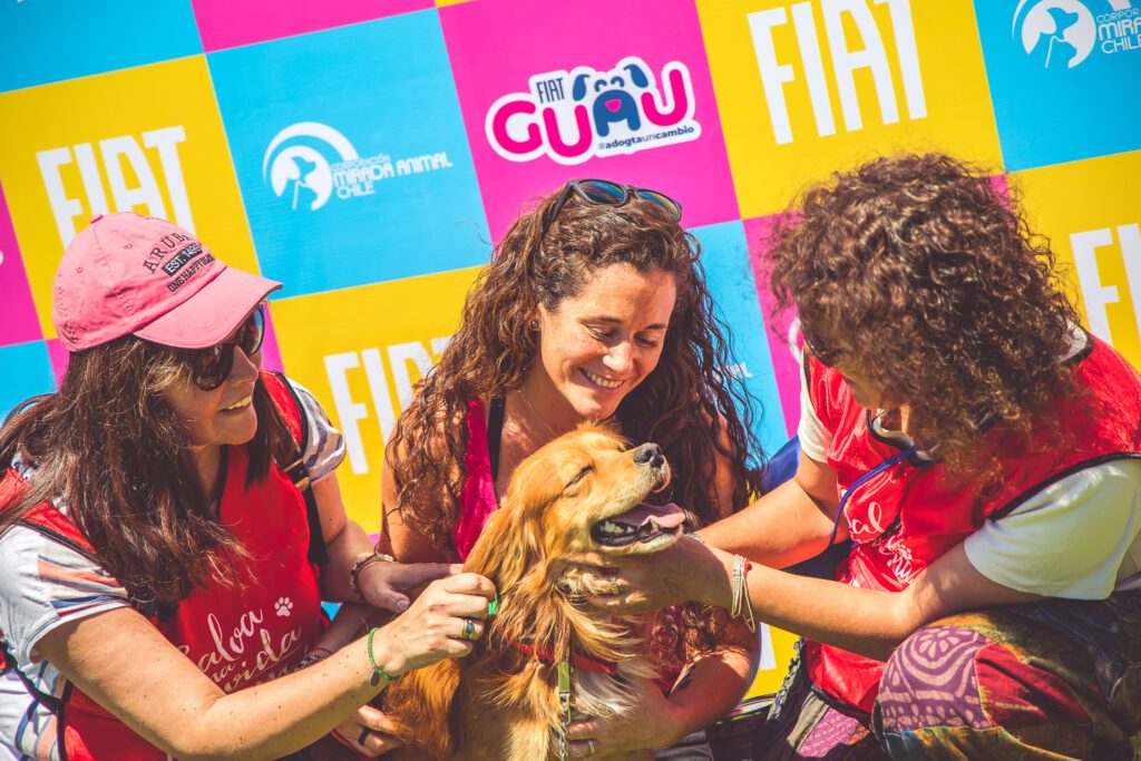 FIAT y Corporación Mirada Animal Chile realizan jornada de adopción de perros abandonados en Las Condes