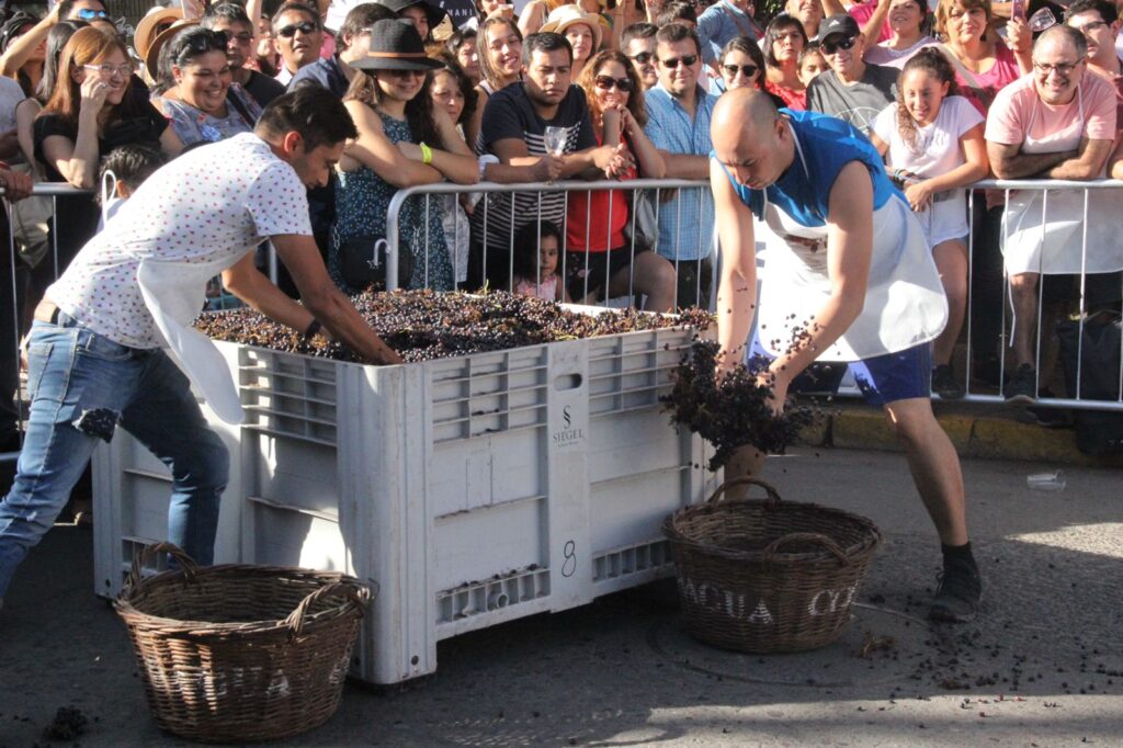 Vendimia Valle de Colchagua 2023: Una fiesta de la tierra con aroma de solidaridad