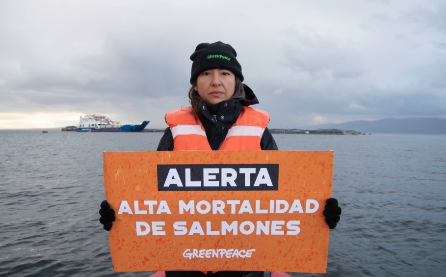 Greenpeace interpone nueva denuncia a centro operado por Nova Austral