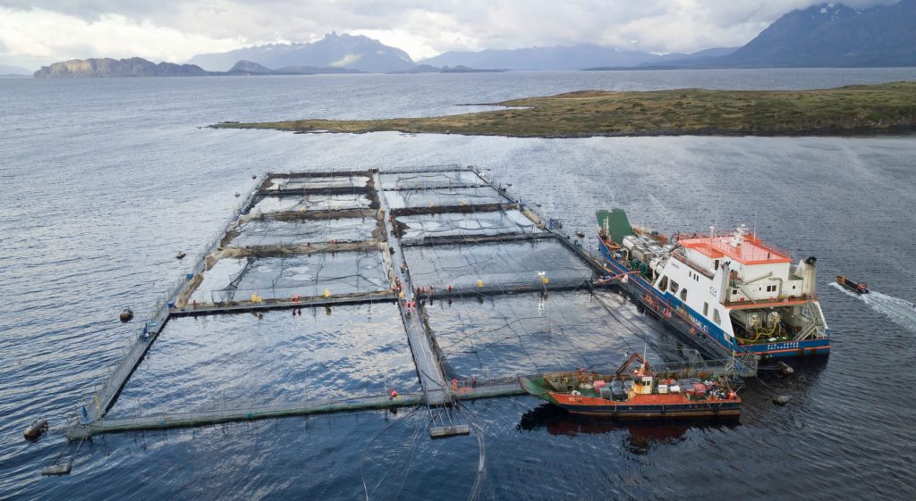 Greenpeace interpone nueva denuncia a centro operado por Nova Austral