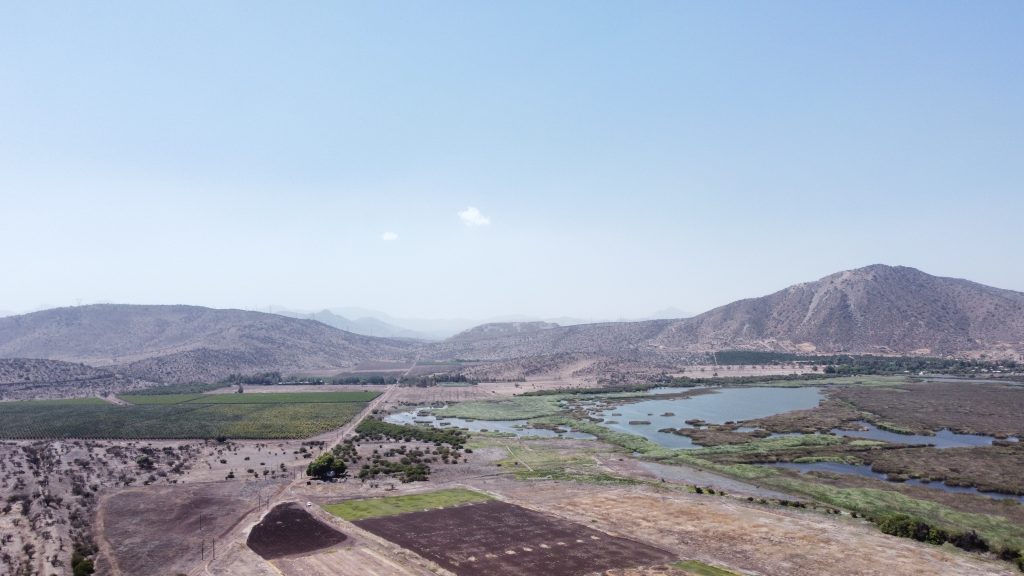 Municipalidad de Lampa adquiere terreno aledaño a humedal de Batuco para resguardar el ecosistema