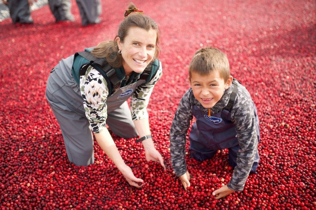 Por primera vez se pudo nadar en cranberries en Santiago