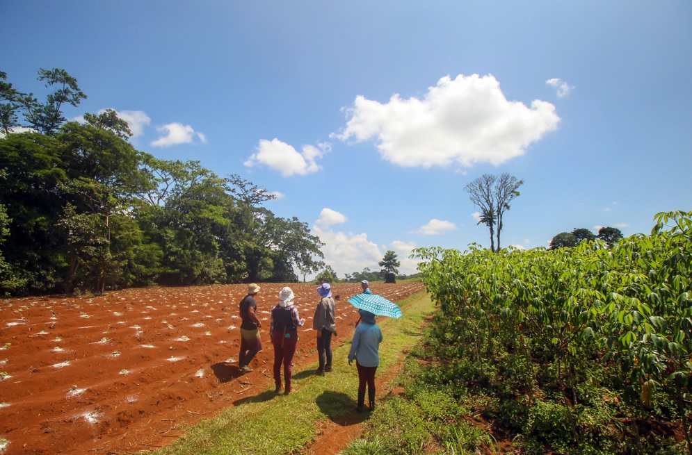 La lucha por la seguridad alimentaria debe empoderar a los pequeños agricultores por Flávia Freitas