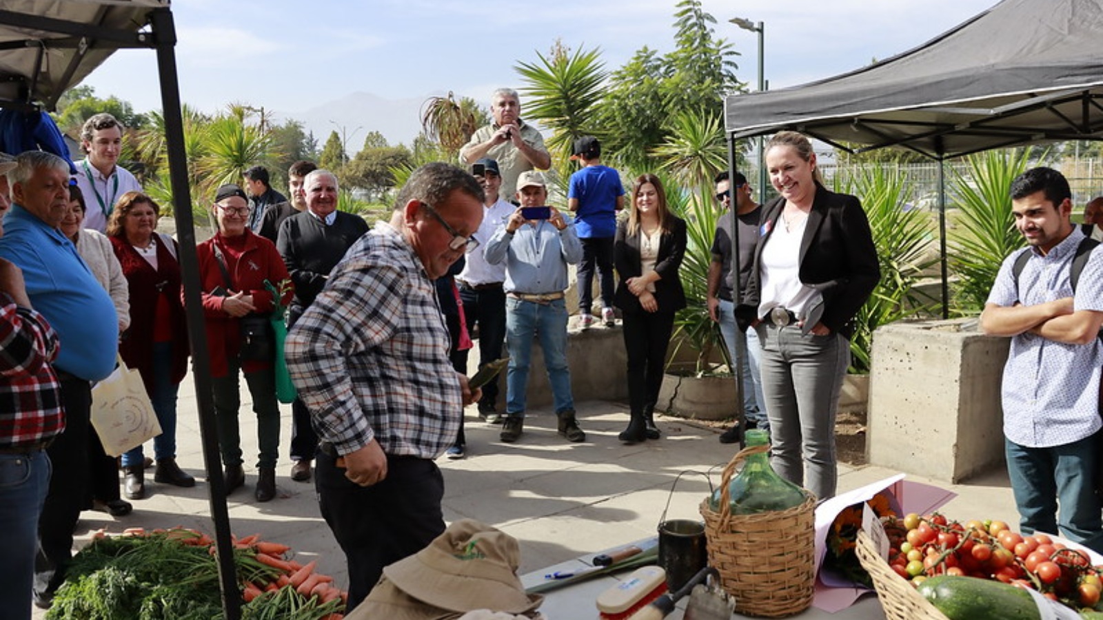 Primera Expo Agrícola Colina 2023 reunió a decenas de expositores del mundo del campo