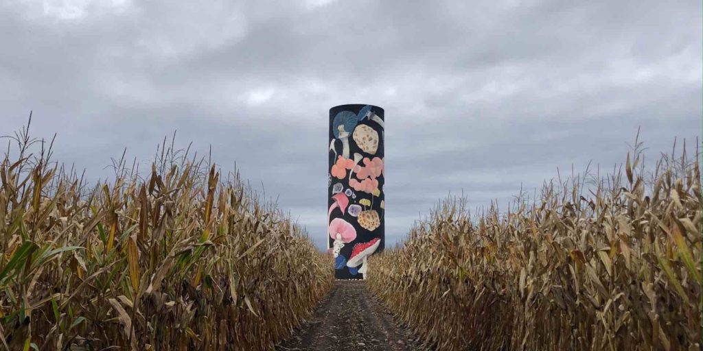 Arte al aire libre en el Maule: Muralistas transforman silos abandonados en gigantescas obras