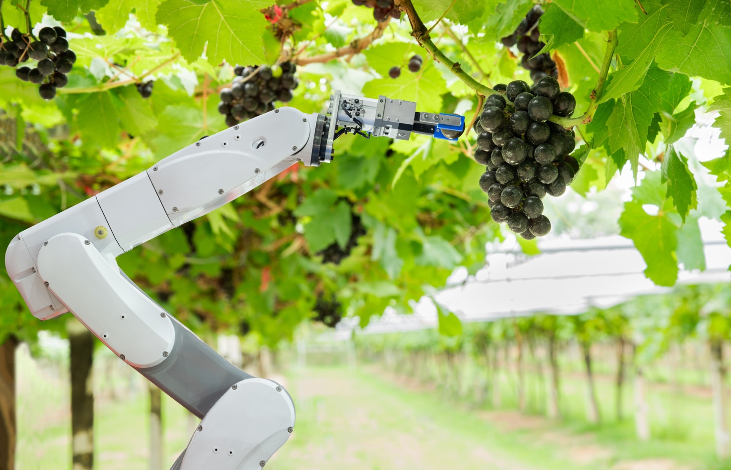 Inauguran Congreso y Exhibición de Innovación y Tecnología más importante del sector agroalimentario