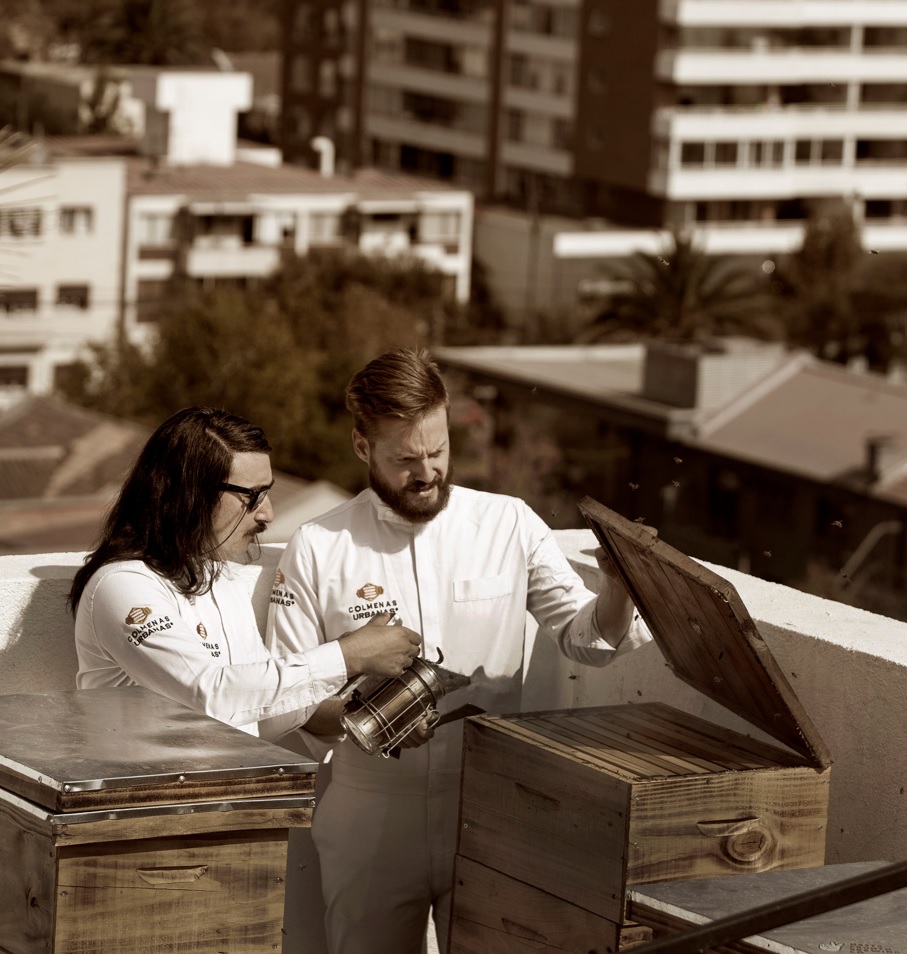 Colmenas Urbanas abre 100 cupos gratuitos para el módulo digital de crianza de abejas en la ciudad