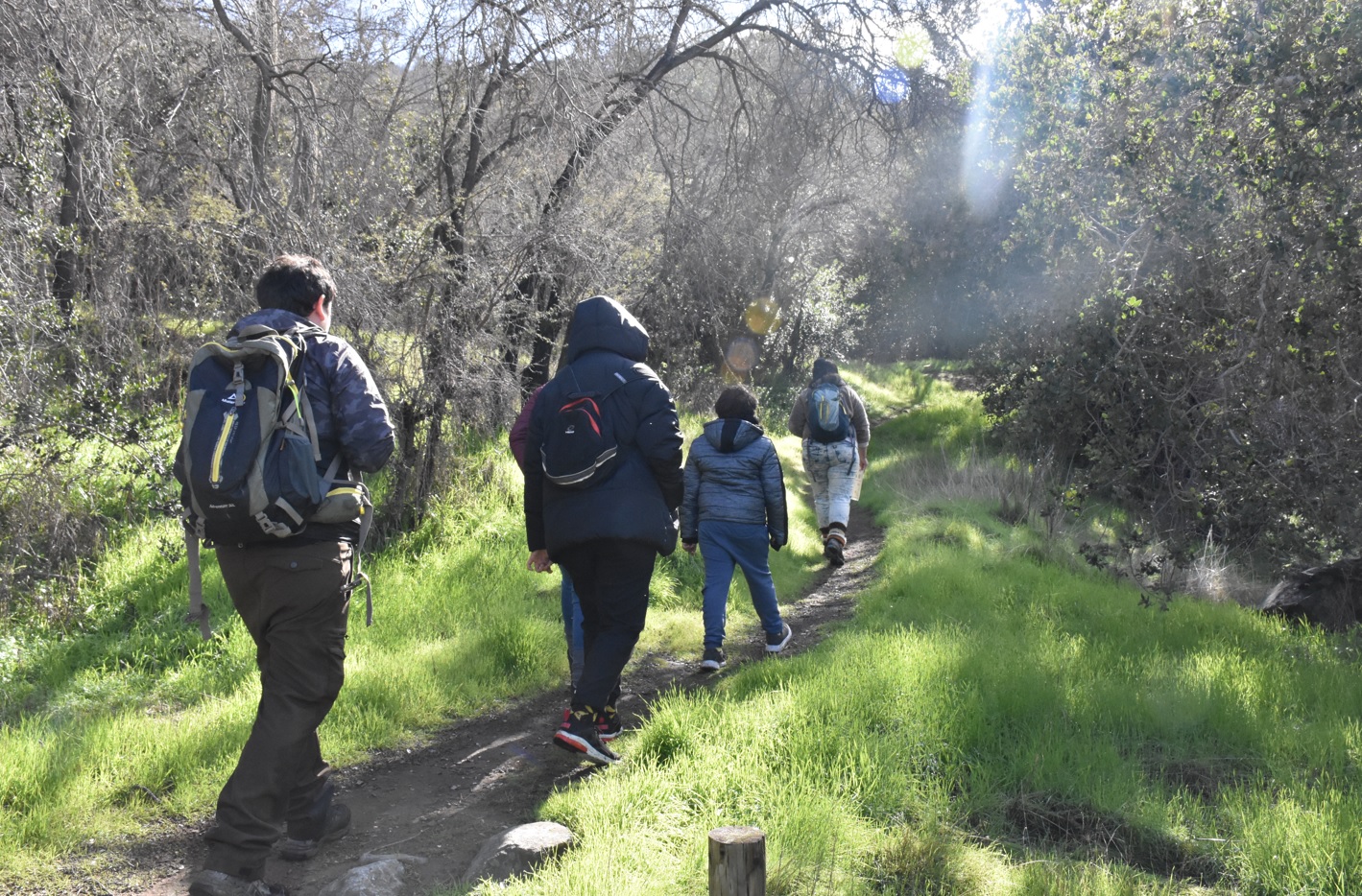 Un encuentro con la naturaleza: Conoce las actividades de la 7º Feria Ambiental de Aculeo