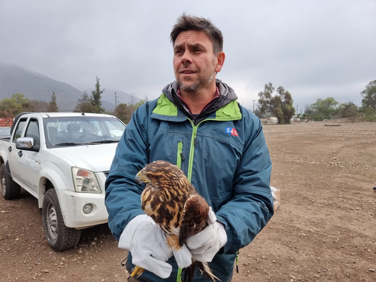 SAG RM y municipios abordan el incremento de avistamiento y presencia de fauna silvestre protegida