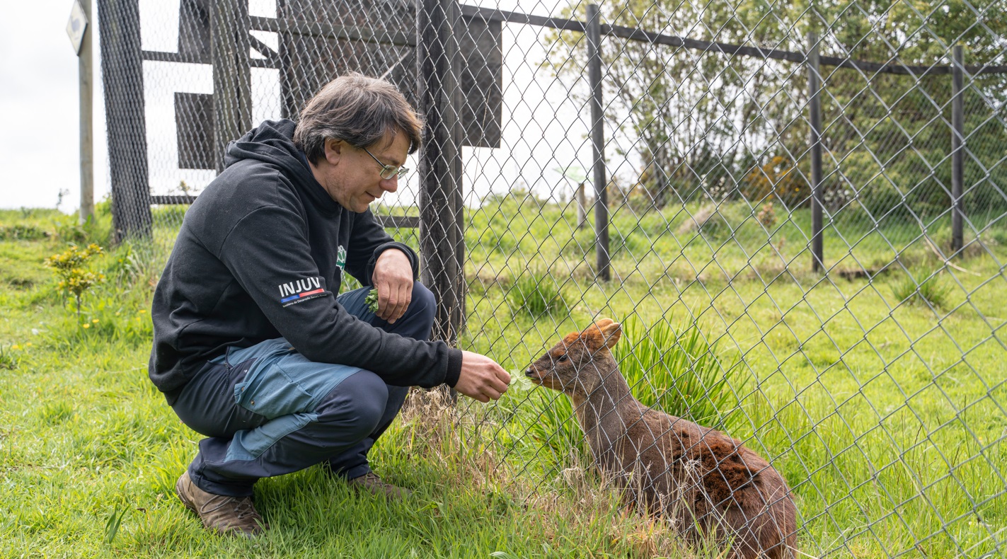 Veterinario chilote que rescata pudúes en peligro de extinción es el ganador de Nuevos Héroes 2023