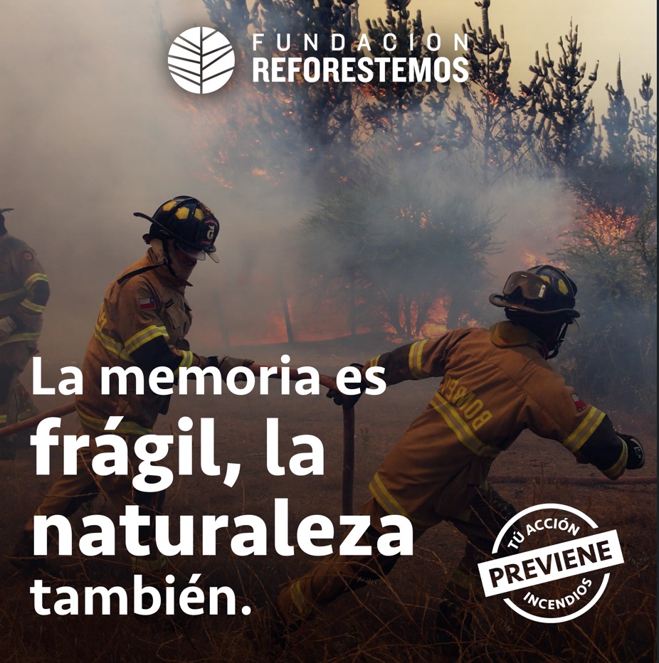 Fundación Reforestemos lanza plan integral de prevención de incendios con llamado a la ciudadanía