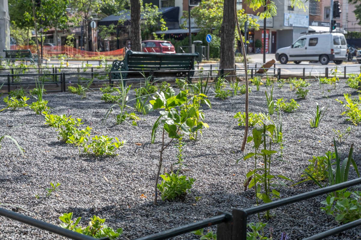 Providencia consolida programa de implementación de jardines sustentables en la comuna