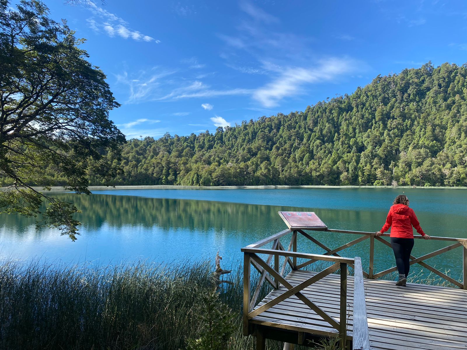 Naturaleza exuberante, Osorno indómito