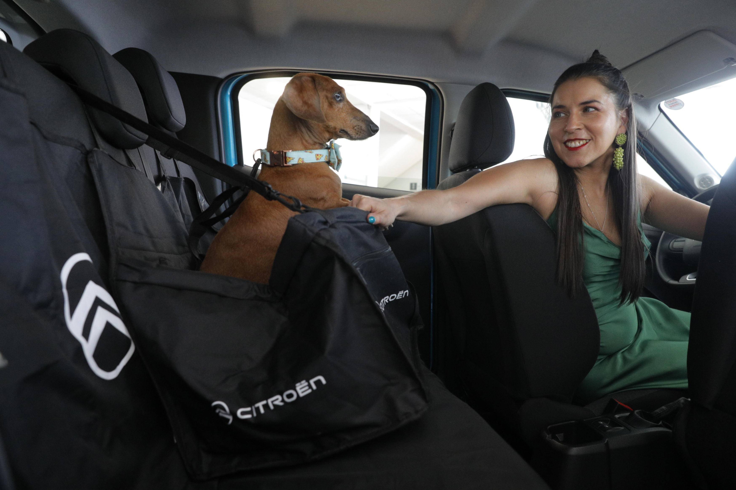 Citroën “Pets Ride”: Así son los test drives con la mascota a bordo del auto