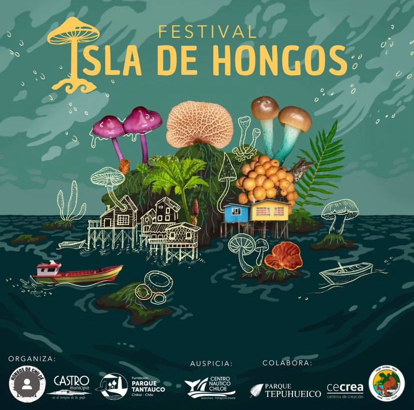 Chiloé: Se viene el Primer Festival Isla de Hongos en la ciudad de Castro