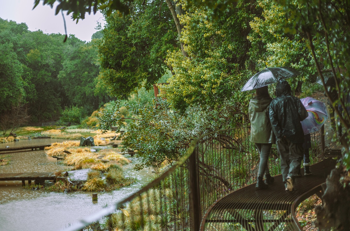 Parque Tricao: Entorno natural privilegiado para estas vacaciones de invierno en Santo Domingo