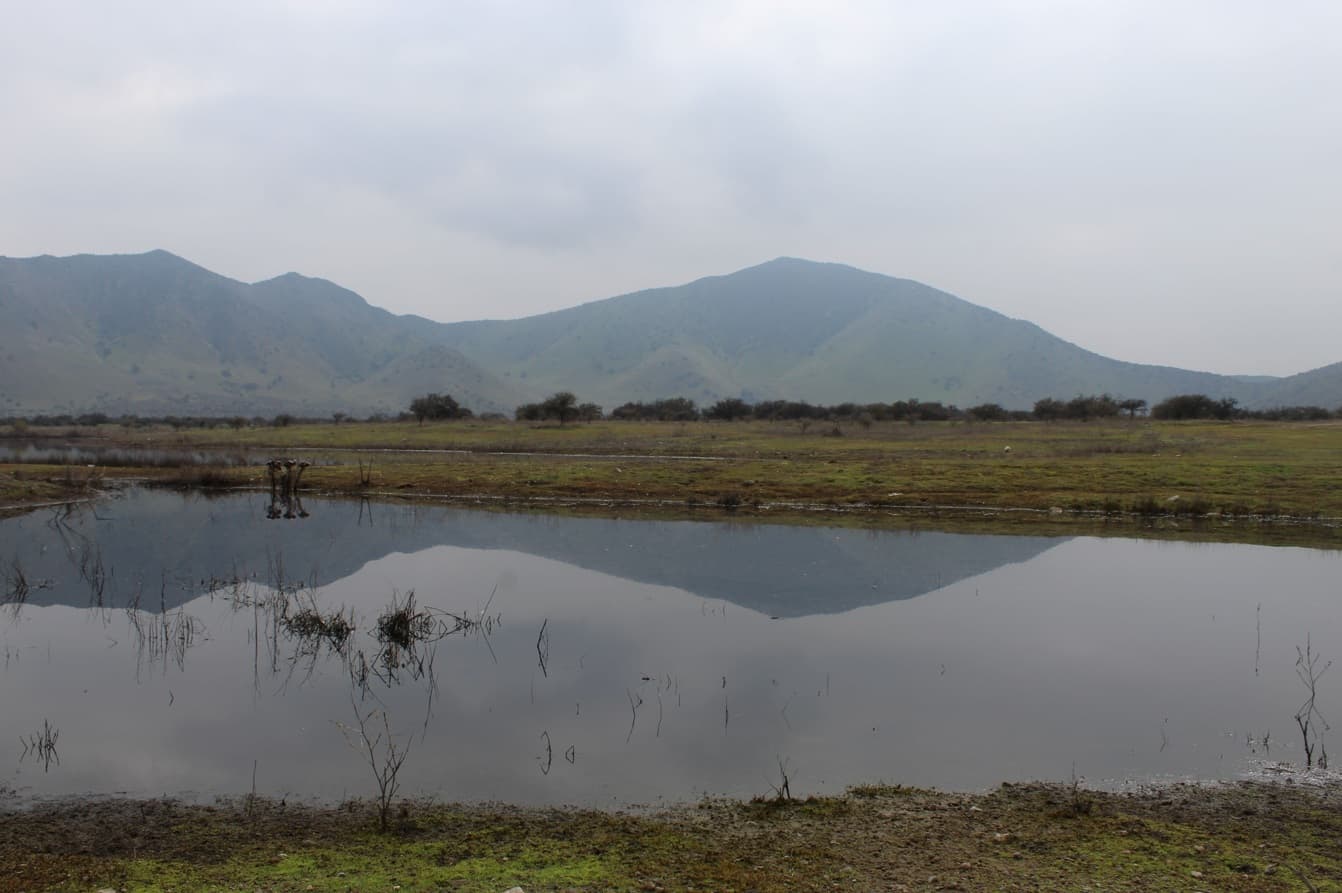 Microsoft invierte en proyectos que aportan agua a la cuenca del Maipo