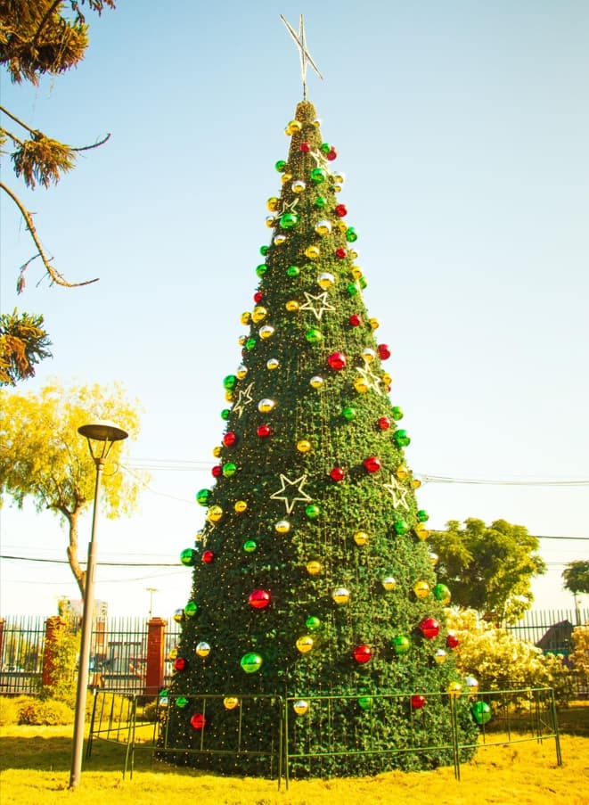 La Granja ilumina la Navidad con un espectáculo inédito de encendido de árboles navideños