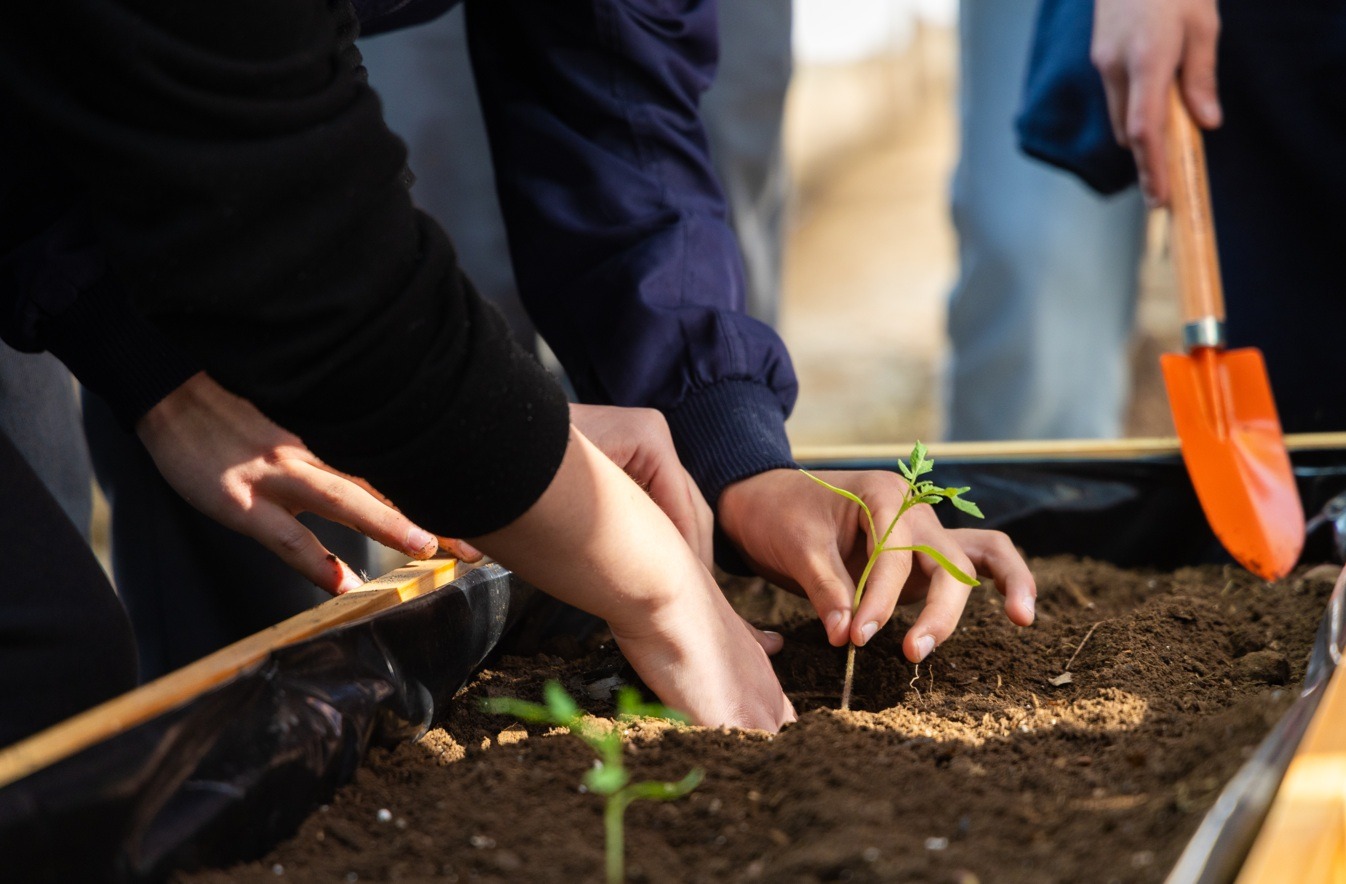 Colegios en Maipú desarrollan proyectos de educación ambiental