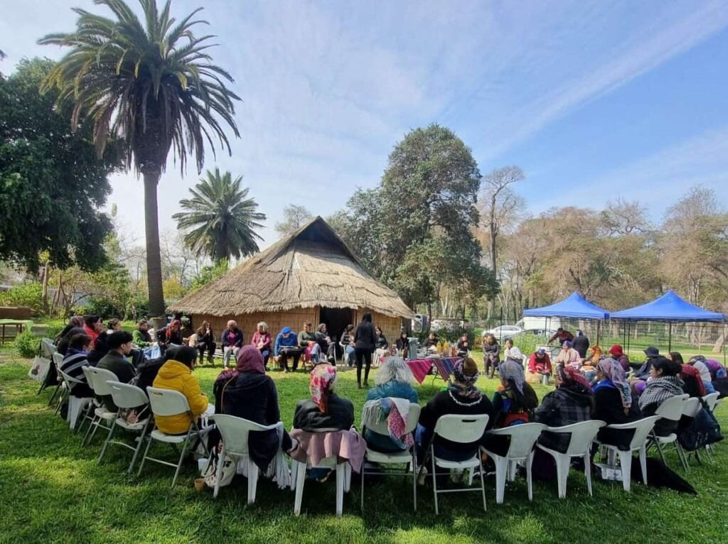 Huertos Comunitarios en Santiago ayudan a la salud mental de los vecinos