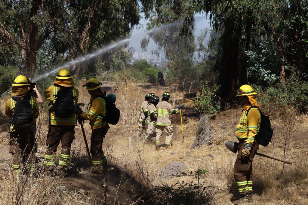 Municipio de Peñalolén presenta querella por intento de incendio en Parque Quebrada de Macul