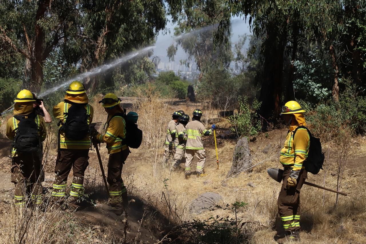 Querella por intento de incendio en Parque Quebrada de Macul