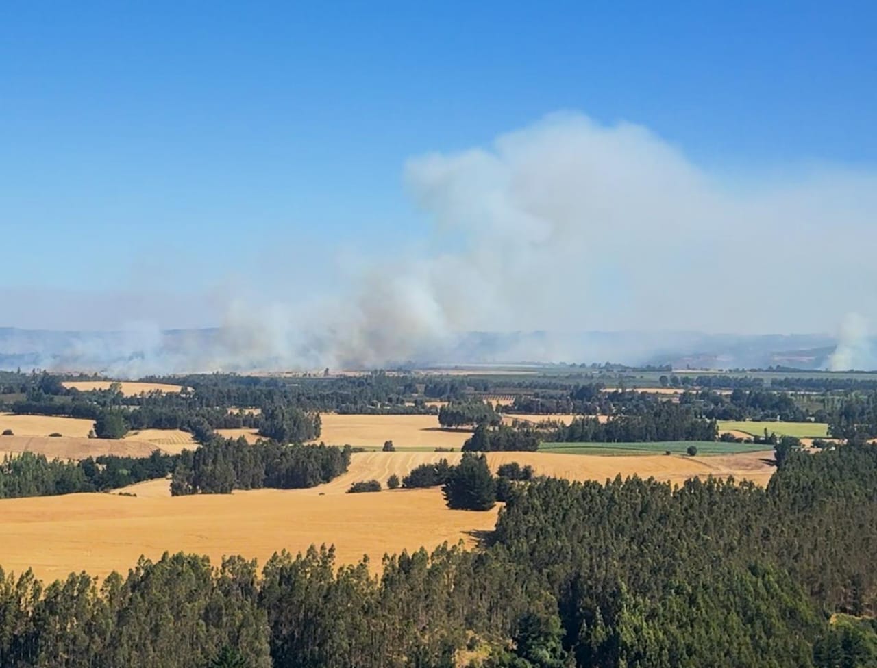 Emergencia agrícola en La Araucanía por incendios forestales