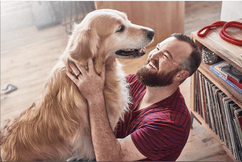 Algoritmo que determina la edad biológica de los perros