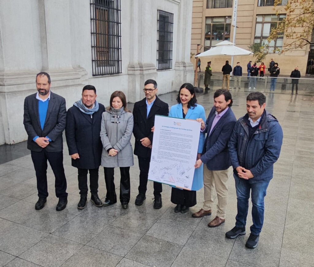 Nueve alcaldes de la RM solicitan rebaja de la tarifa eléctrica