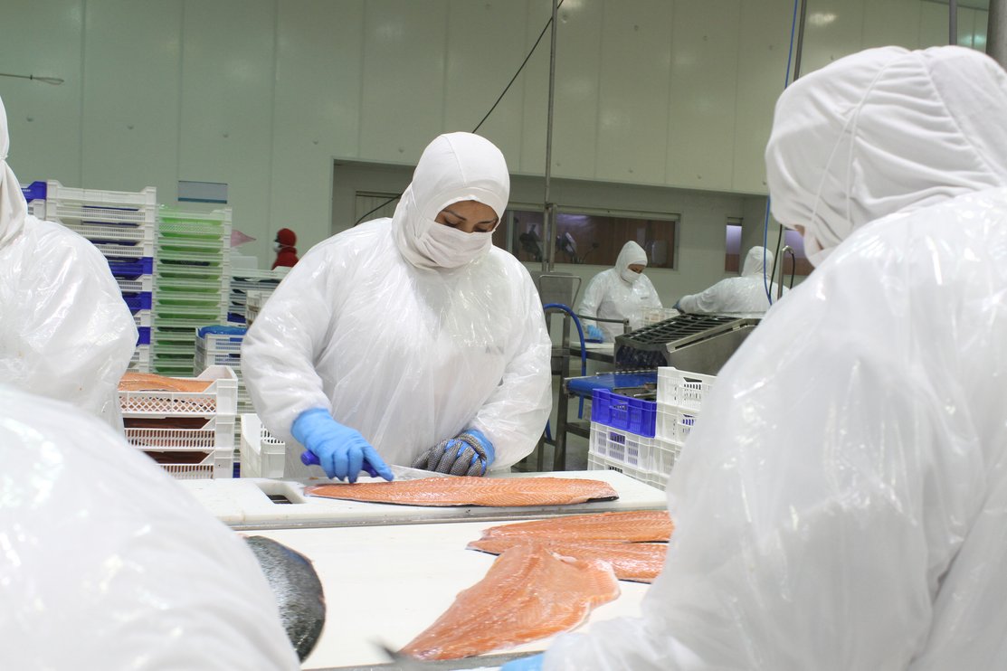 Consejo del Salmón impulsa uso de inteligencia artificial