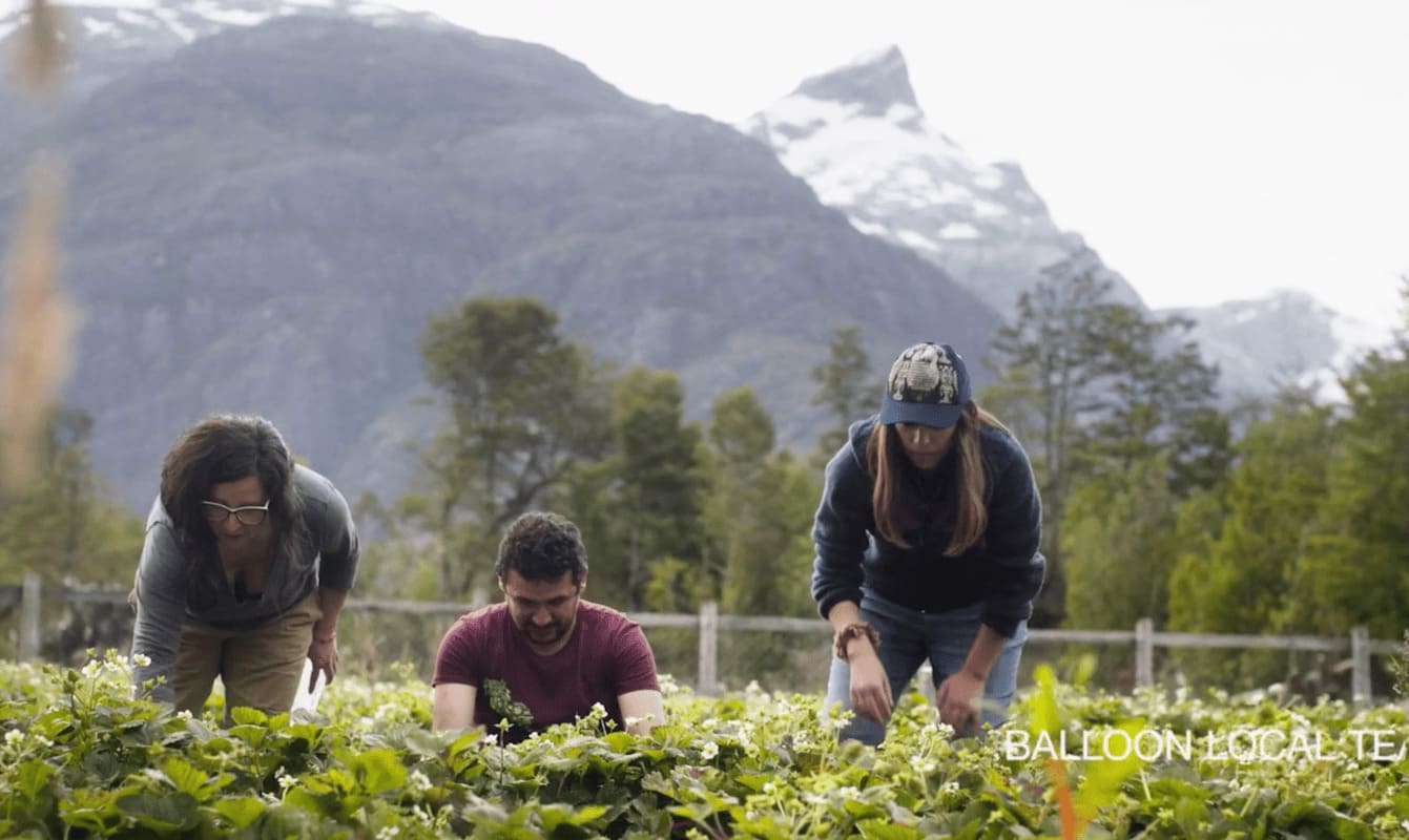 BBC y Balloon Latam destacan a emprendedora de Caleta Tortel