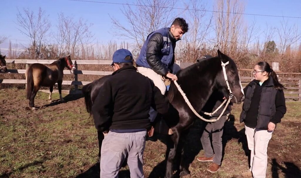 Ministro de Agricultura encabezó operativo del SAG en control sanitario equino en Los Ángeles y supervisó avance de obras de riego en la región.