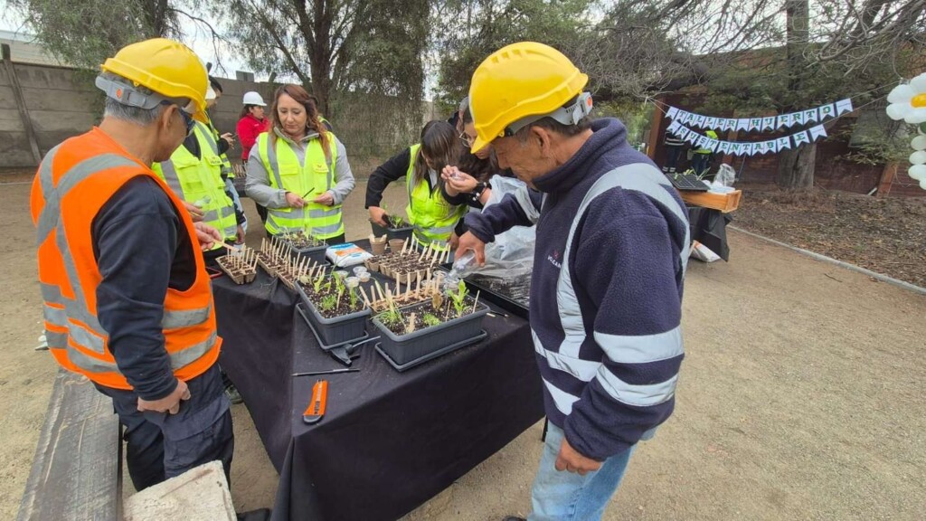 Educación ambiental con talleres de huertos urbanos