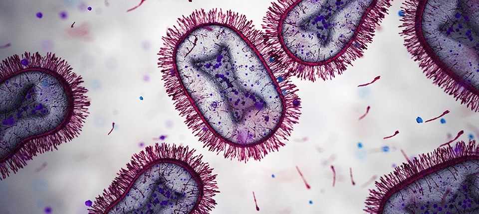 Médicos y científicos de América Latina proponen uso de pruebas rápidas para diagnóstico, tratamiento y control de infecciones respiratorias.