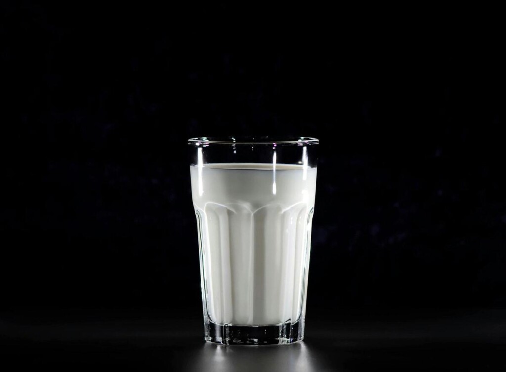 Estudio chileno vincula consumo de queso con menos obesidad