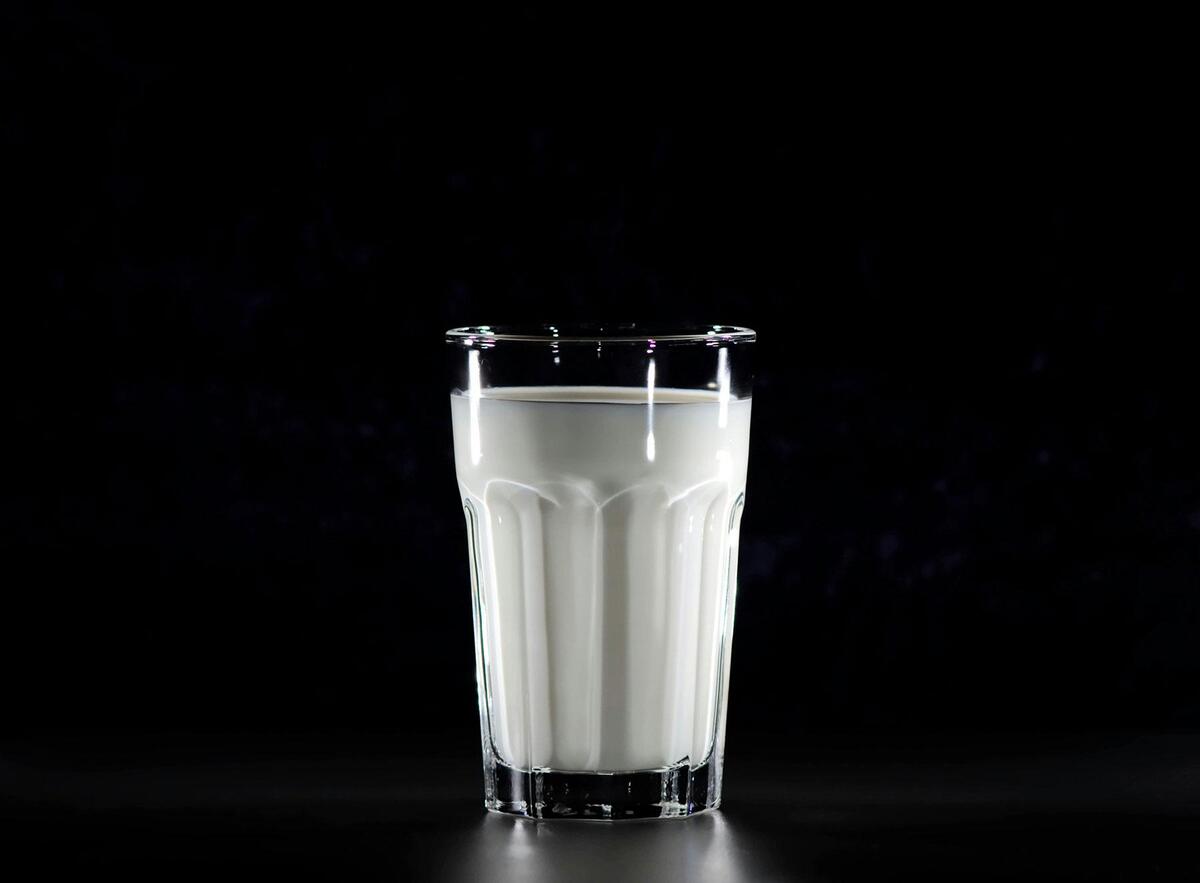 Estudio chileno vincula consumo de queso con menos obesidad