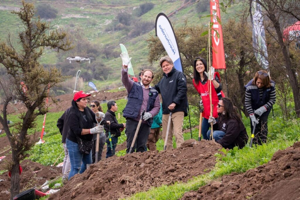 Huechuraba impulsa nuevo pulmón verde con 150 árboles nativos