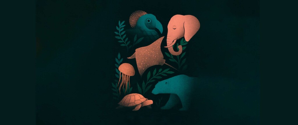 “El Carnaval de los Animales” en Teatro del Lago