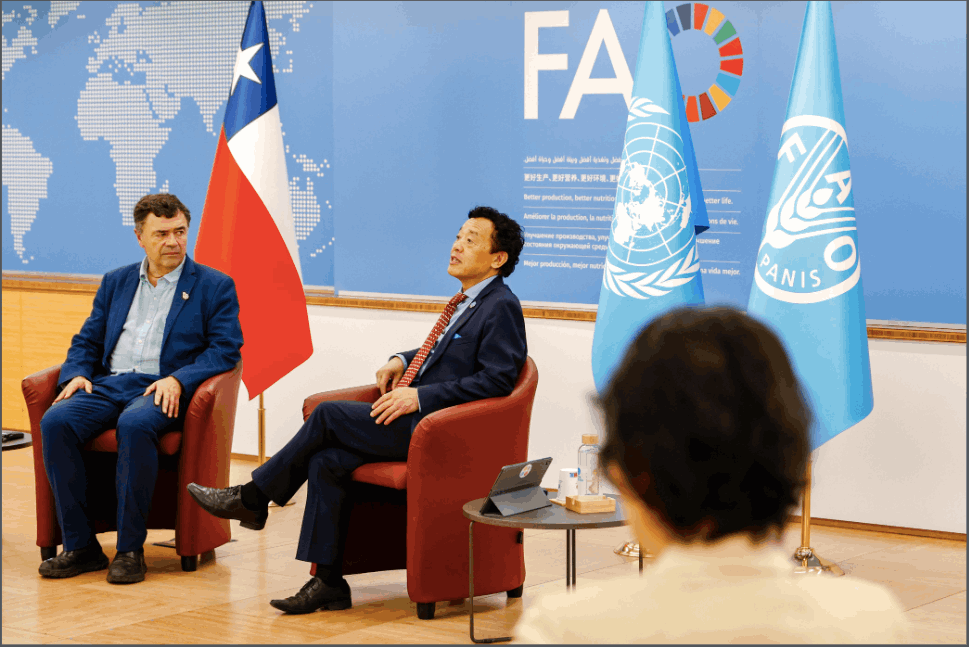 Posible Día Internacional de las Frutas y Verduras