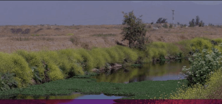 Plan de Acción Comunal de Cambio Climático en Quilicura