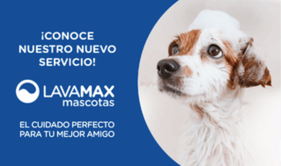Lavado de mascotas a mitad de precio en Copec
