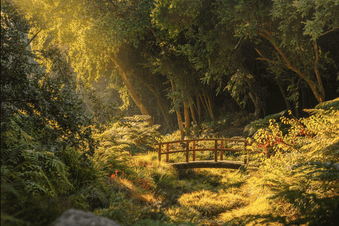 Parque Tricao: Concierto gratuito en el Humedal Giverny