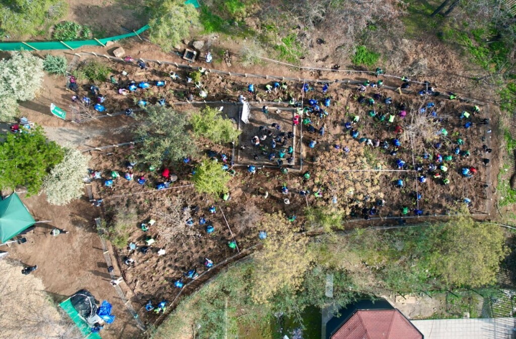 Gobierno de Santiago y Municipalidad de Peñalolén plantan el décimo Bosque de Bolsillo en la RM