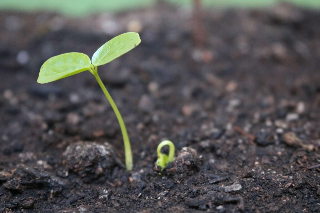 Convocatoria programa de formación Territorios Verdes