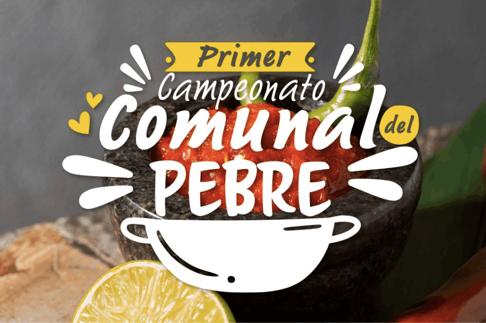 Cerro Navia: Campeonato para Clubes de Personas Mayores