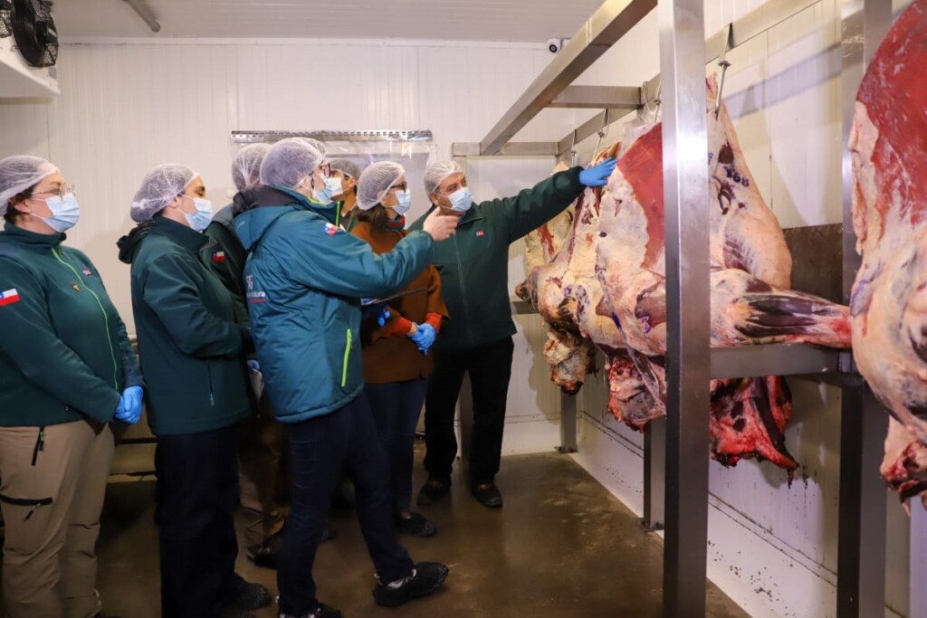 Ministerio de Agricultura refuerza fiscalización del SAG