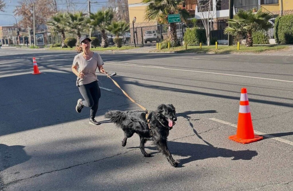 La Reina celebró "Día de la Niñez con tu mascota"