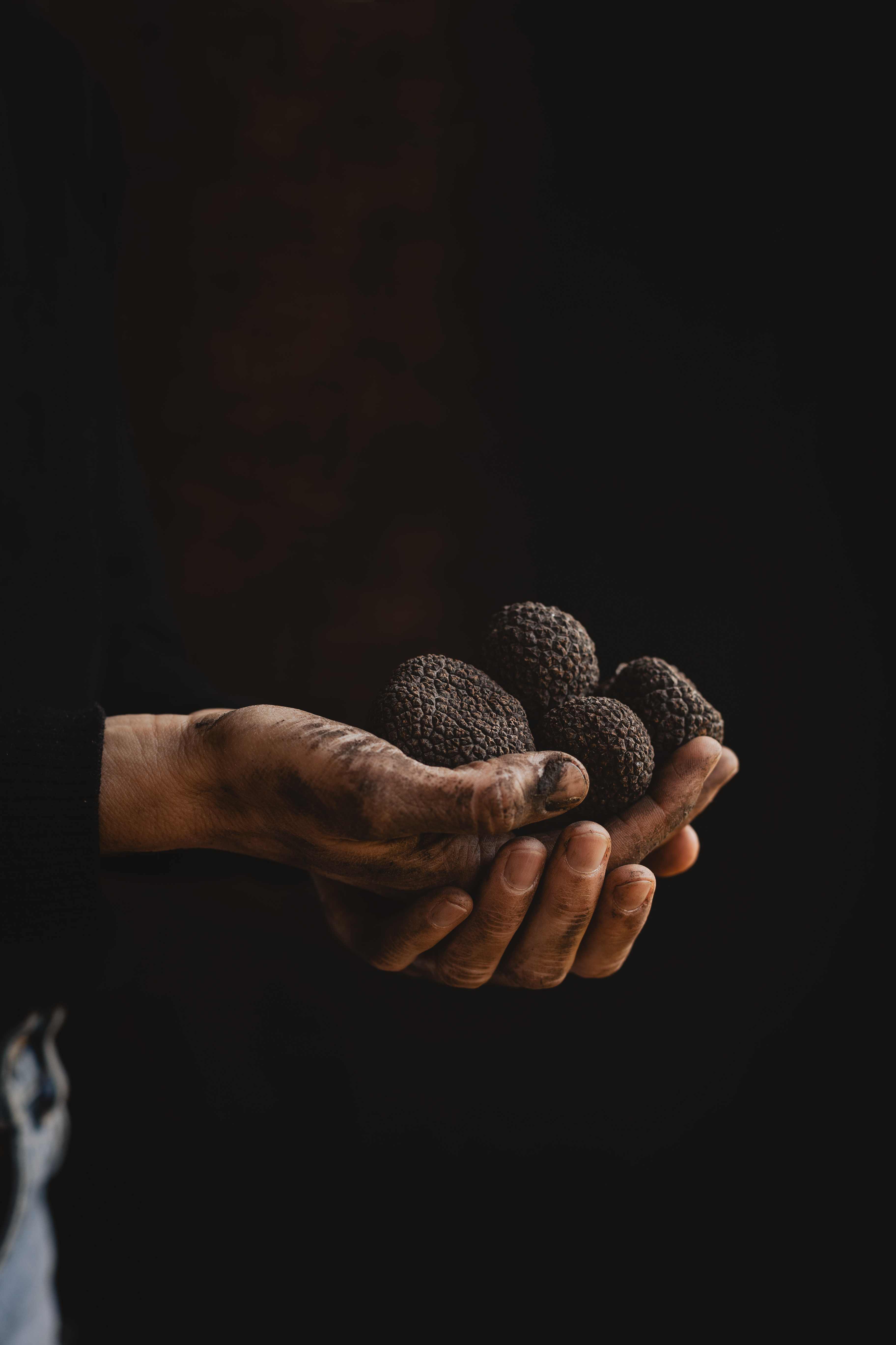 Nueva edición de “Materia Chilena” en Lo Barnechea