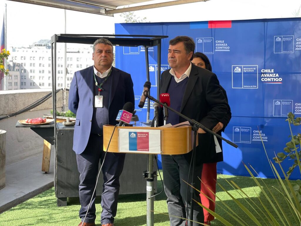 Agricultura: bajan precios de frutas y verduras